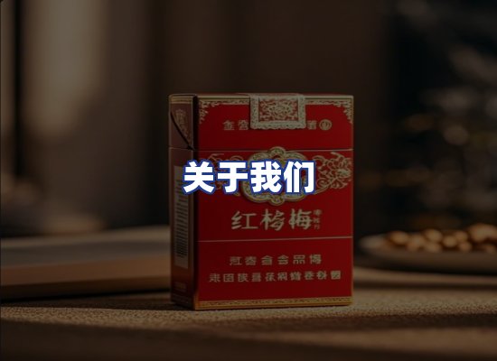 专业团队